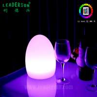 Hotel restaurant decoration LED table lamp rechargeable table lighting lamp color change led table lamp